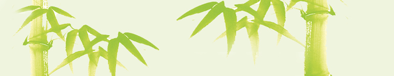 Stressbewältigung durch Achtsamkeit - MBSR (mindfulness based stress reduction) und andere achtsamkeitsbasierte Verfahren Marlies Sonnentag,  M.Sc. M.Th.